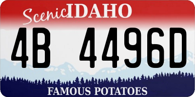 ID license plate 4B4496D