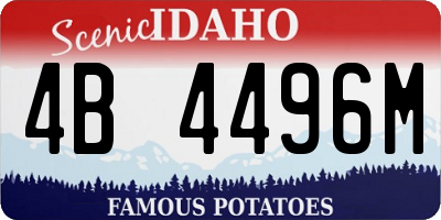 ID license plate 4B4496M