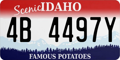 ID license plate 4B4497Y