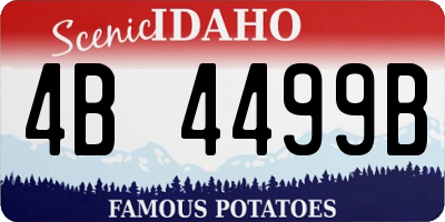 ID license plate 4B4499B