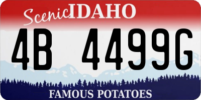 ID license plate 4B4499G