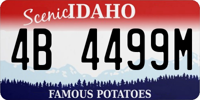 ID license plate 4B4499M