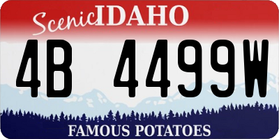 ID license plate 4B4499W