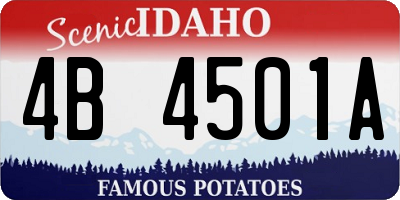 ID license plate 4B4501A