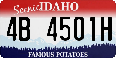 ID license plate 4B4501H