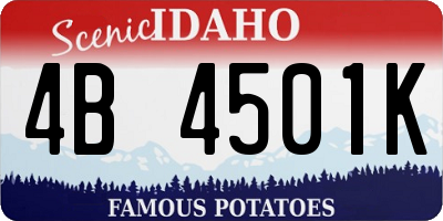 ID license plate 4B4501K