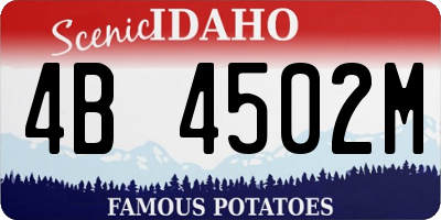 ID license plate 4B4502M