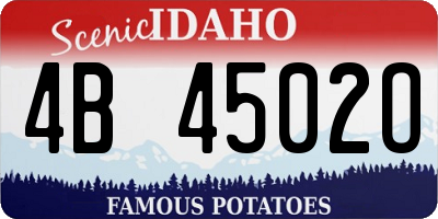 ID license plate 4B4502O