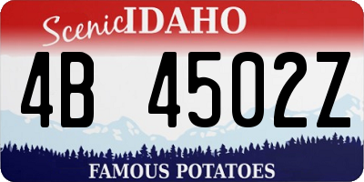 ID license plate 4B4502Z