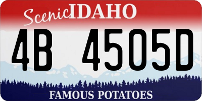 ID license plate 4B4505D