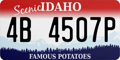 ID license plate 4B4507P