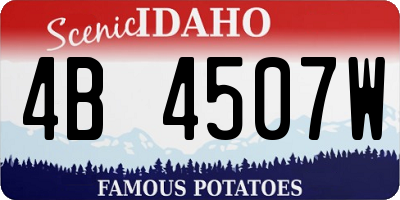 ID license plate 4B4507W