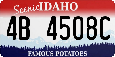 ID license plate 4B4508C