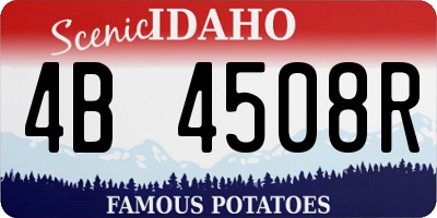 ID license plate 4B4508R