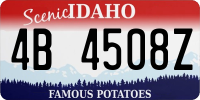 ID license plate 4B4508Z