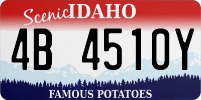 ID license plate 4B4510Y