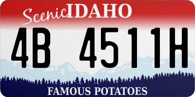 ID license plate 4B4511H