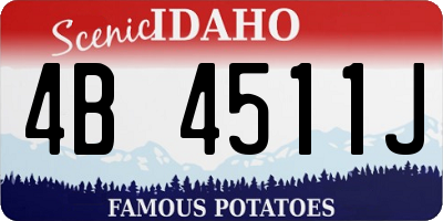 ID license plate 4B4511J