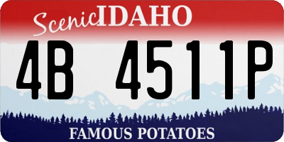 ID license plate 4B4511P