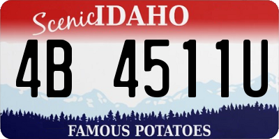 ID license plate 4B4511U