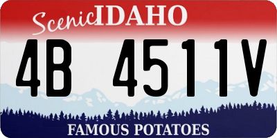 ID license plate 4B4511V