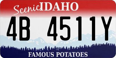 ID license plate 4B4511Y