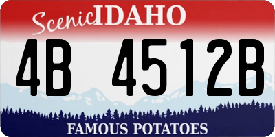 ID license plate 4B4512B