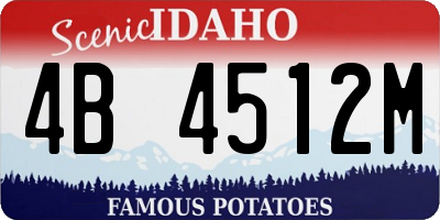 ID license plate 4B4512M