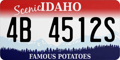 ID license plate 4B4512S