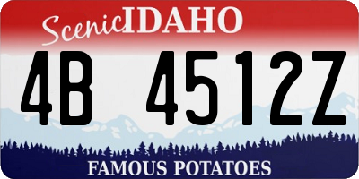 ID license plate 4B4512Z