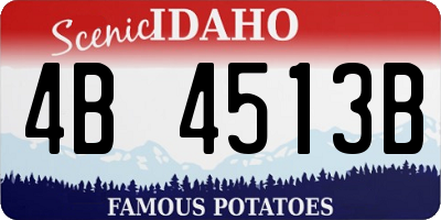 ID license plate 4B4513B