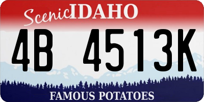 ID license plate 4B4513K