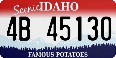 ID license plate 4B4513O