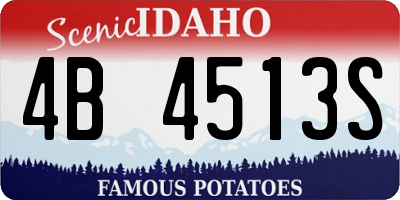 ID license plate 4B4513S