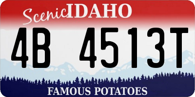 ID license plate 4B4513T