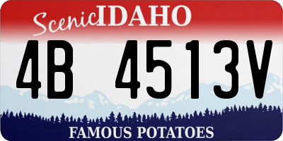 ID license plate 4B4513V