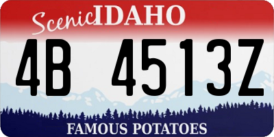 ID license plate 4B4513Z