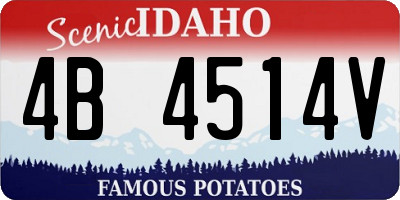 ID license plate 4B4514V