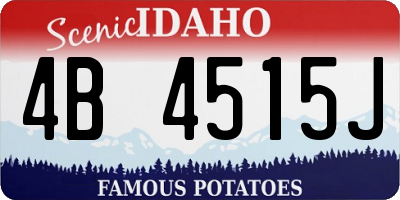 ID license plate 4B4515J