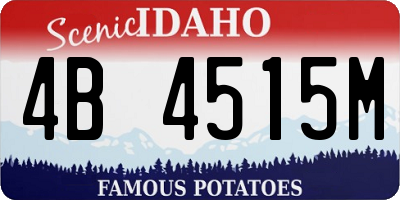 ID license plate 4B4515M