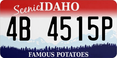 ID license plate 4B4515P