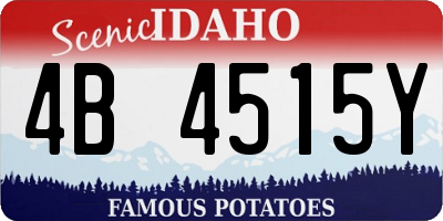 ID license plate 4B4515Y