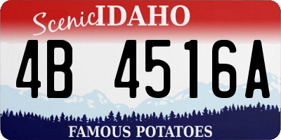 ID license plate 4B4516A