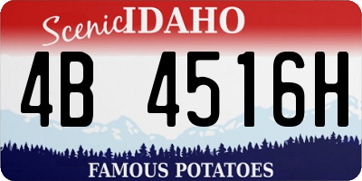 ID license plate 4B4516H