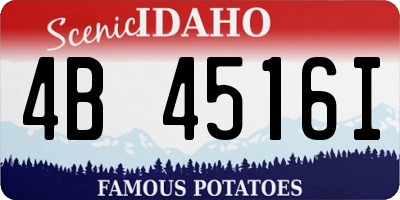 ID license plate 4B4516I