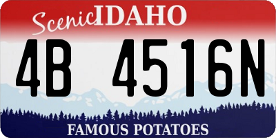 ID license plate 4B4516N