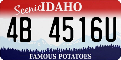 ID license plate 4B4516U