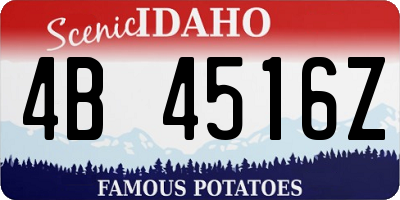 ID license plate 4B4516Z