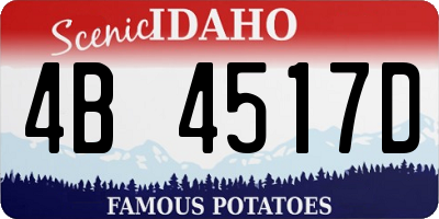 ID license plate 4B4517D