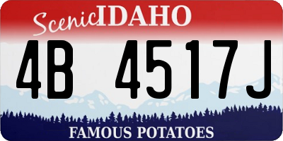 ID license plate 4B4517J